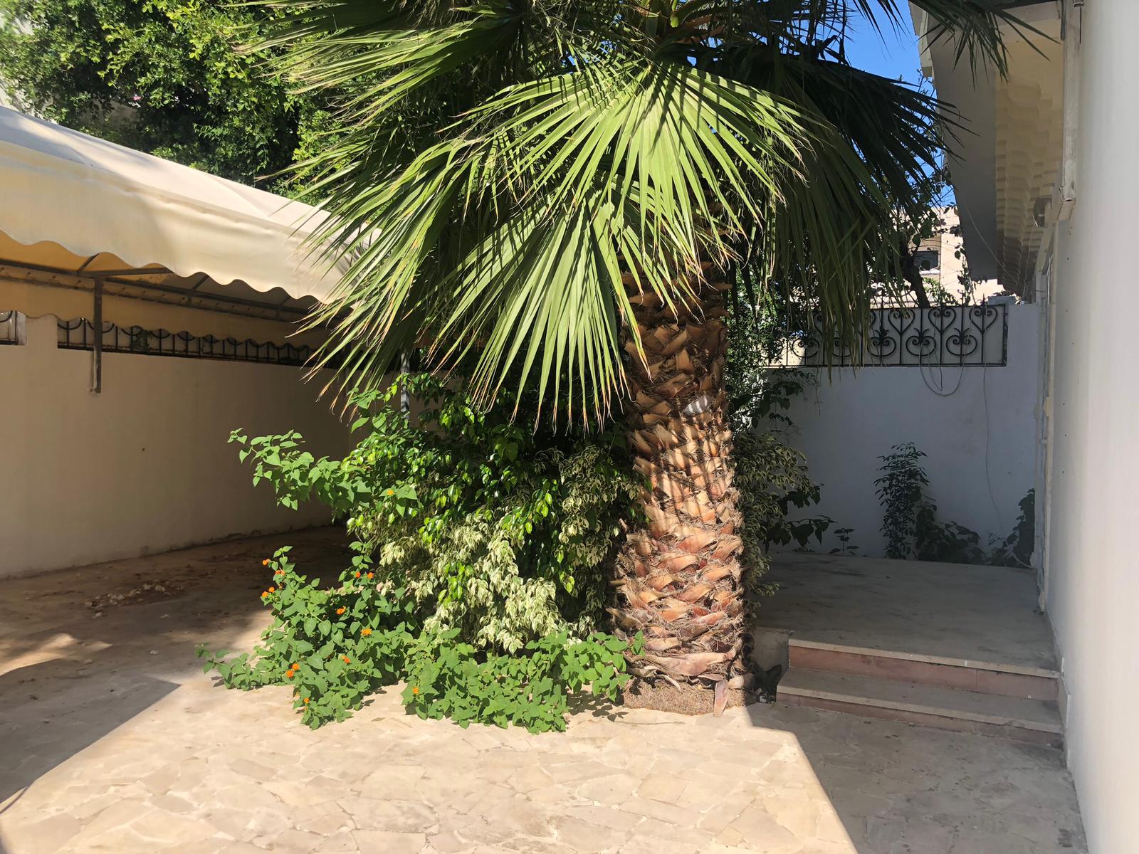 La Marsa&nbsp;Marsa Ennassim&nbsp;Location&nbsp;Duplex&nbsp;Duplex meubl� pour longue duree