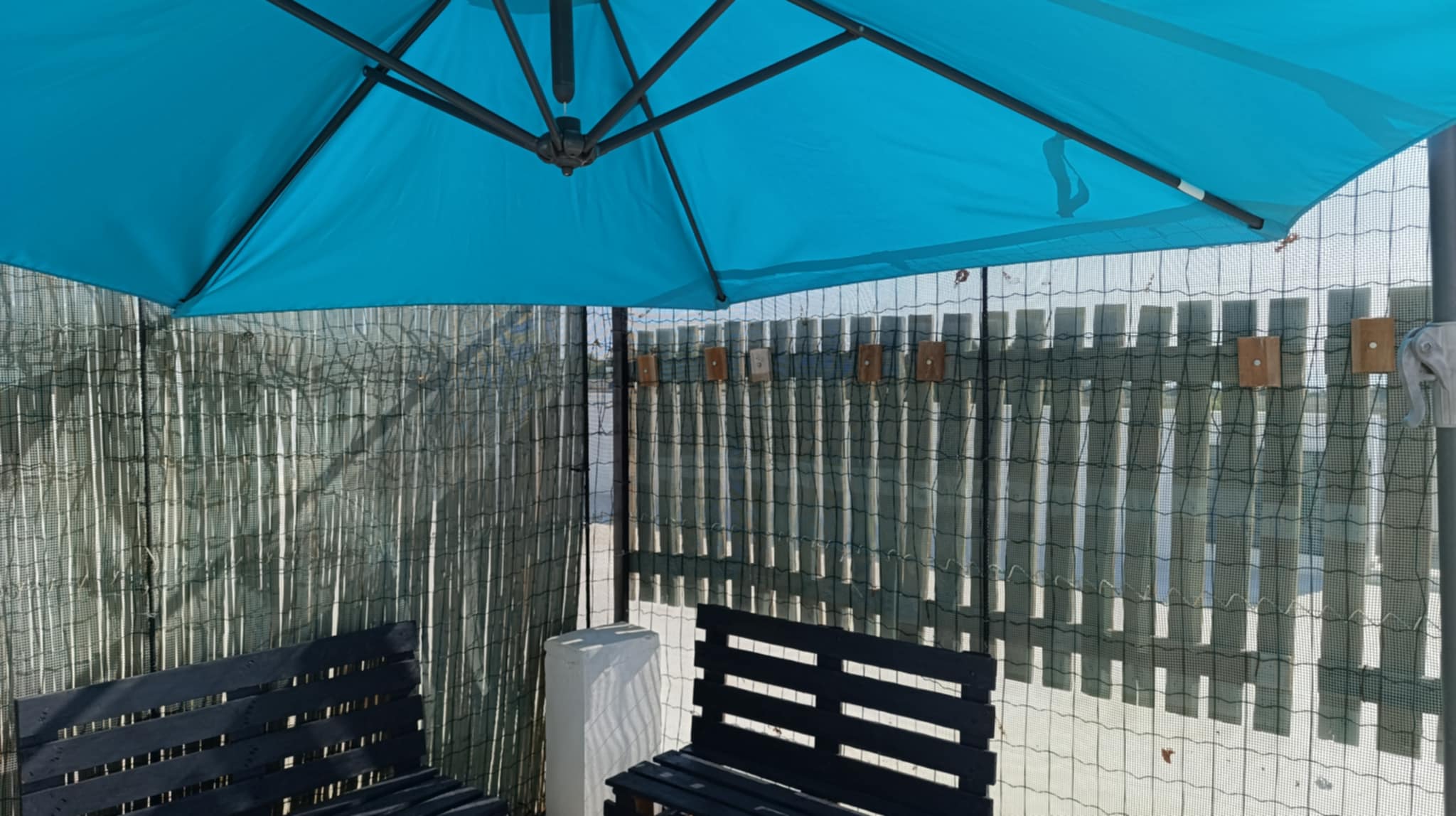 Bizerte Nord&nbsp;Bizerte&nbsp;Location&nbsp;Appart. 1 pi�ce&nbsp;Un studio pied dans l'eau � sidi salem bizerte