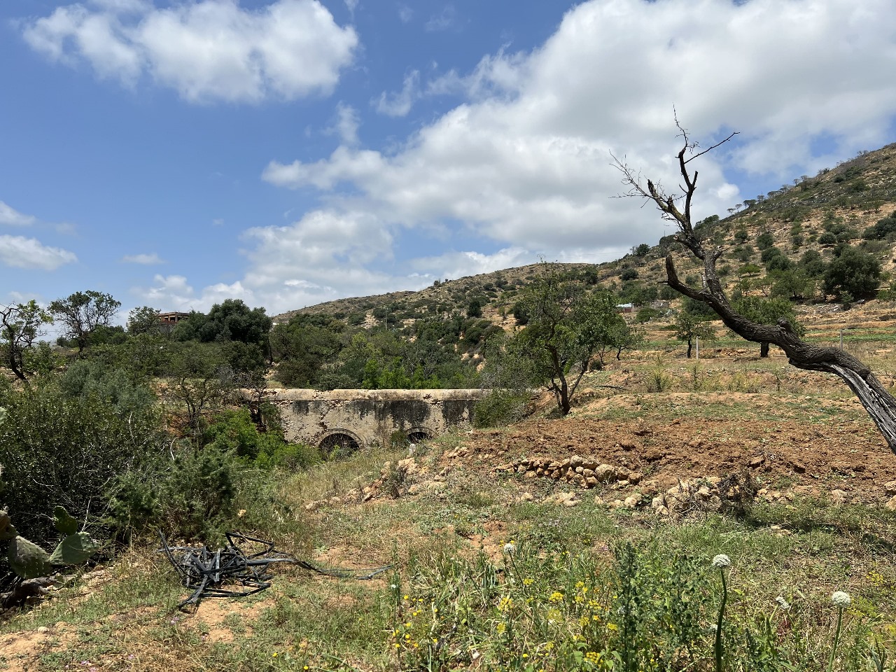 Ghar El Melh&nbsp;Ghar El Melh&nbsp;Terrain&nbsp;Terrain nu&nbsp;Terrain d'exception 1645 m2 ghar el melh