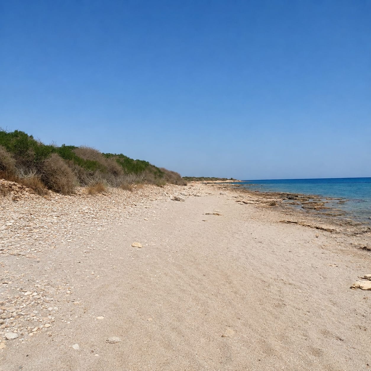 Kelibia&nbsp;Kerkouane&nbsp;Terrain&nbsp;Terrain nu&nbsp;Lot de terrain directsur plage