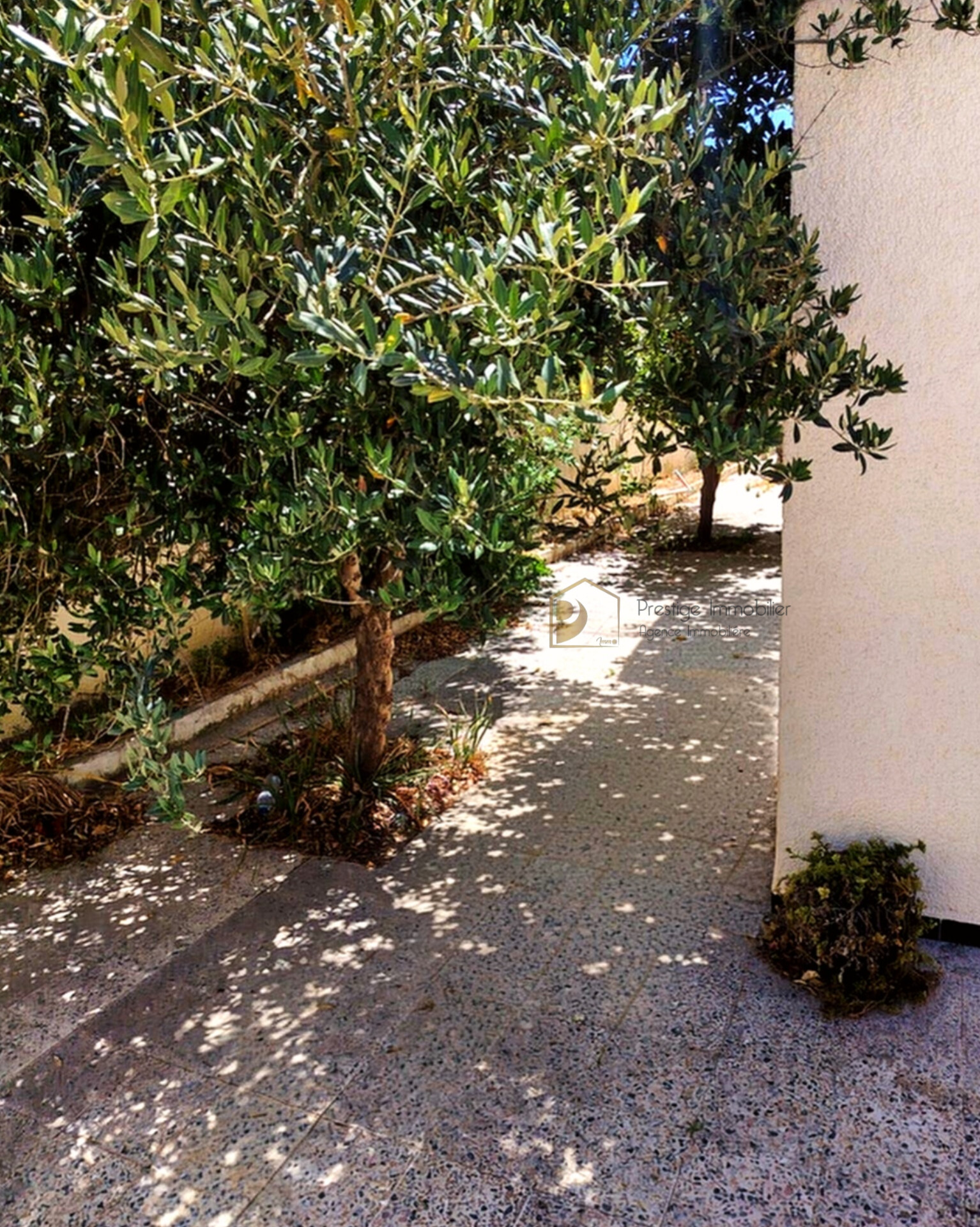Soliman&nbsp;Soliman&nbsp;Vente&nbsp;Maisons&nbsp;Villa 3s avec studio