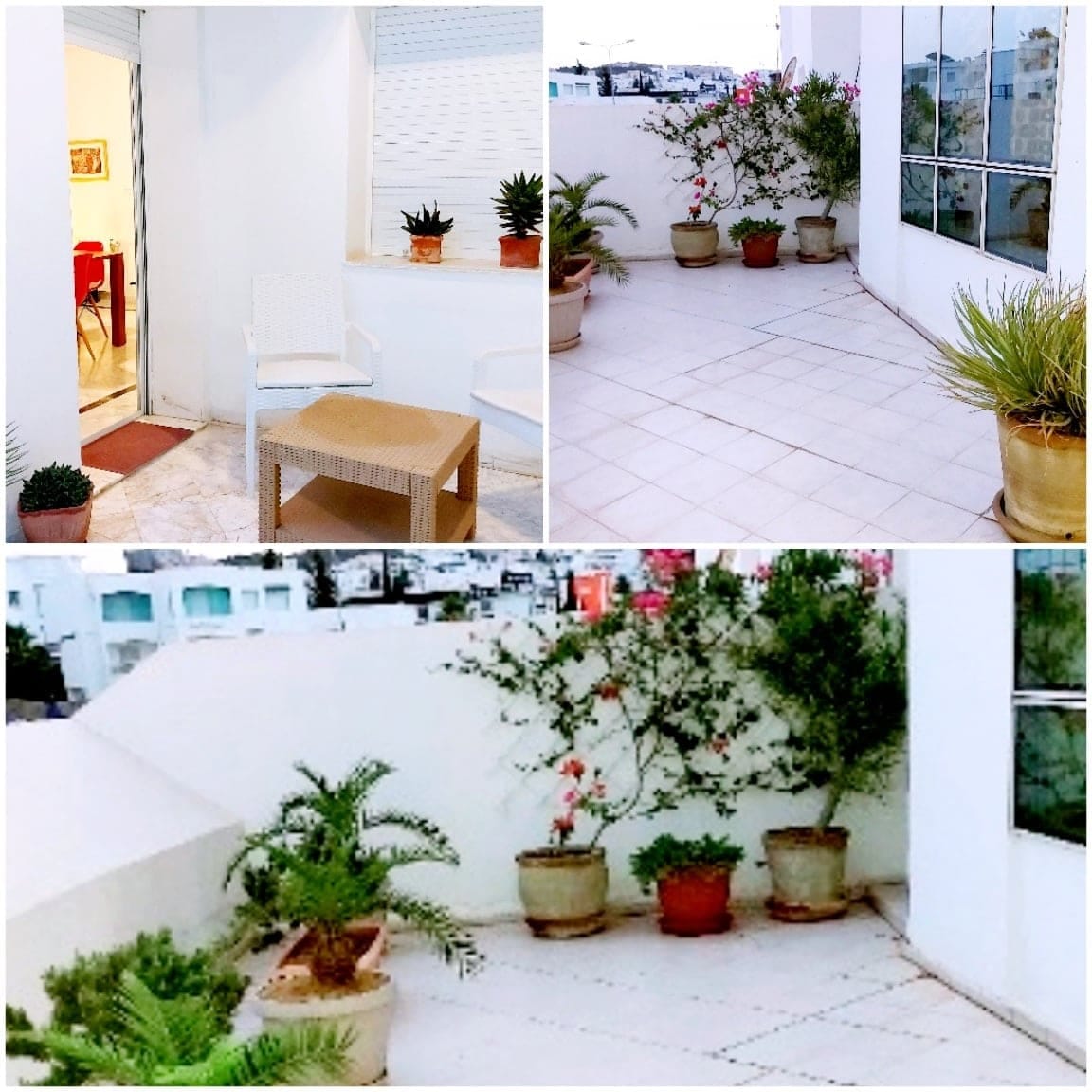 Ariana Ville&nbsp;Cite Ennasr 2&nbsp;Vente&nbsp;Appart. 3 pi�ces&nbsp;Apt s2 multi marecsage habitation commerce