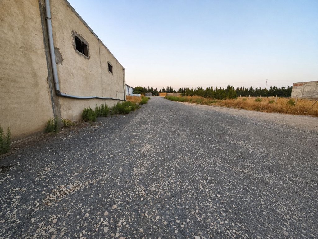 Mohamadia&nbsp;Mohamadia&nbsp;Bureaux & Commerces&nbsp;Fond de Commerce&nbsp;D�p�t de 1 100 m � � mhamdia