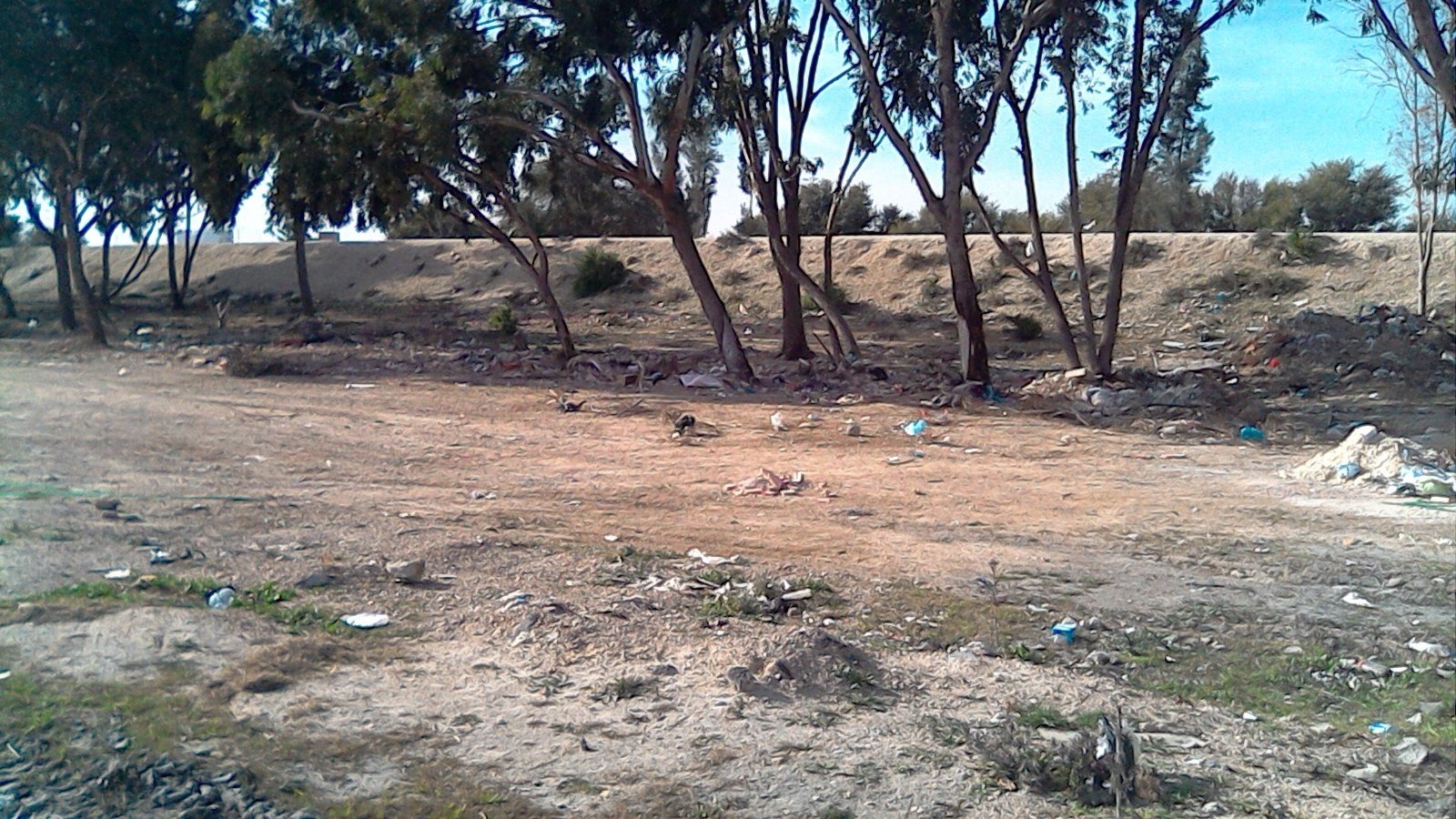 Kairouan Sud&nbsp;Kairouan Sud&nbsp;Terrain&nbsp;Terrain nu&nbsp;Terrain de 5560 m2 � kairouan