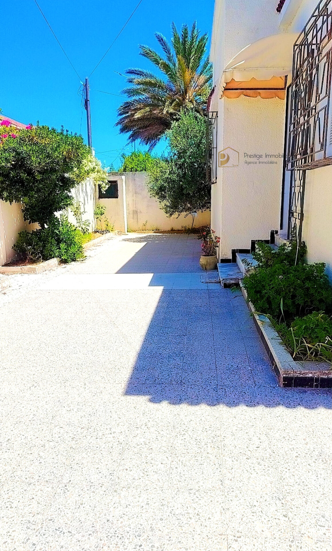 Soliman&nbsp;Soliman&nbsp;Vente&nbsp;Maisons&nbsp;Maison s3 plus un studio