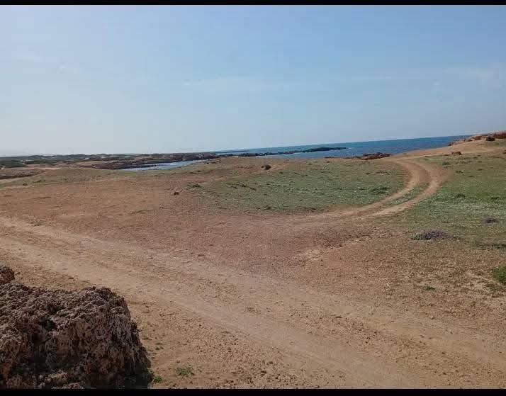 El Haouaria&nbsp;El Haouaria&nbsp;Terrain&nbsp;Terrain agricole&nbsp;Offre ne pas rater