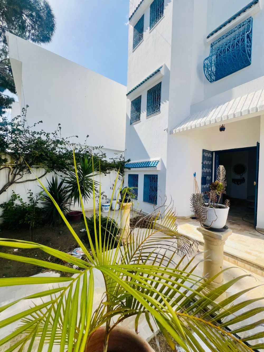Hammamet&nbsp;Hammamet&nbsp;Vente&nbsp;Maisons&nbsp;V616 maison la palma im