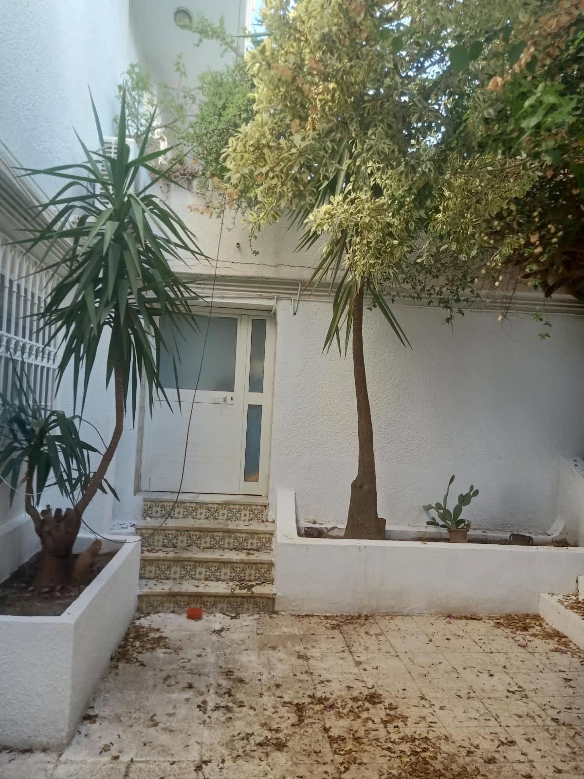 El Menzah&nbsp;El Manar 1&nbsp;Location&nbsp;Maisons&nbsp;Rdc de villa  s1  el manar 1 nono meubl�