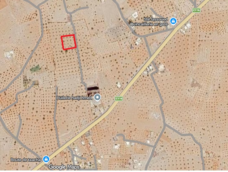 Djerba - Houmet Essouk&nbsp;Bazim&nbsp;Terrain&nbsp;Terrain nu&nbsp;Terrain exceptionnel � djerba bazim  houmt souk