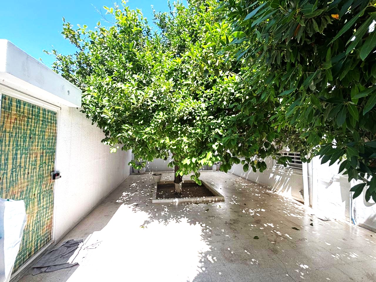 Ariana Ville&nbsp;El Menzah 8&nbsp;Vente&nbsp;Appart. 3 pi�ces&nbsp;Appartement s3 avec jardin a menzah 8