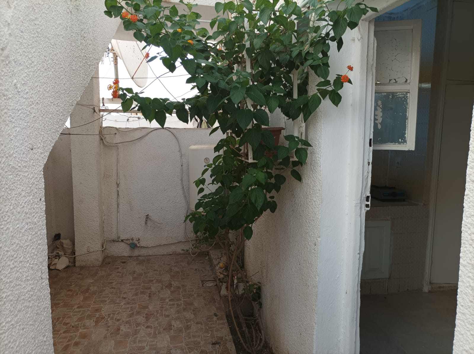 Raoued&nbsp;Cite Ennkhilet&nbsp;Location&nbsp;Maisons&nbsp;Studio 3 pi�ces a ennkhilet wb2901
