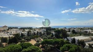 Nabeul&nbsp;Nabeul&nbsp;Location&nbsp;Appart. 1 pi�ce&nbsp;  bureau h1  dans un centre  ref811a