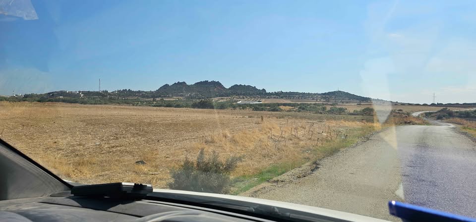 Hammamet&nbsp;Hammamet&nbsp;Terrain&nbsp;Terrain agricole&nbsp;Hectare a sidi jdidi hamammet