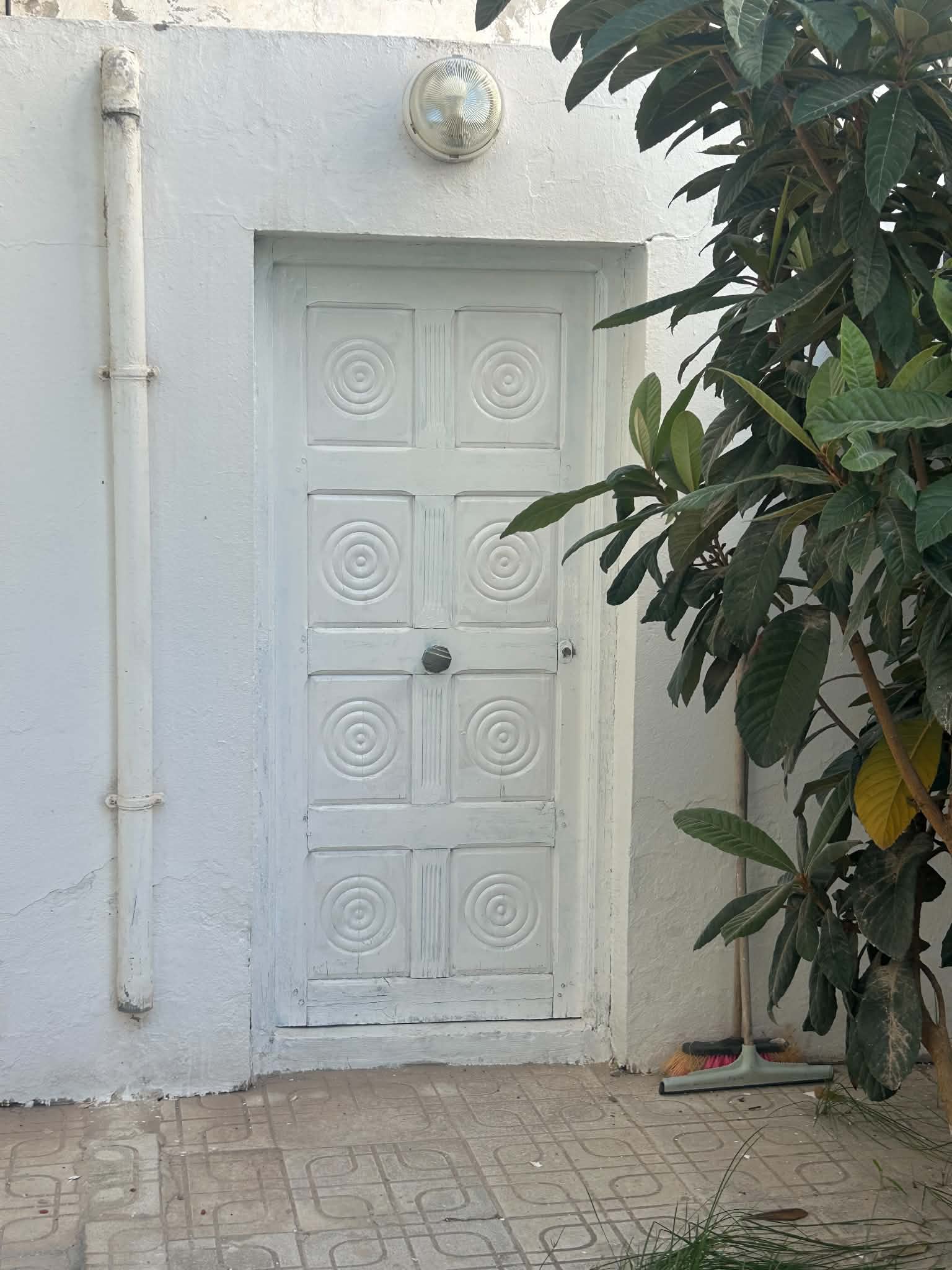 Cite El Khadra&nbsp;Cite Jardins&nbsp;Location&nbsp;Appart. 1 pi�ce&nbsp;Studio meubl� � alain savary